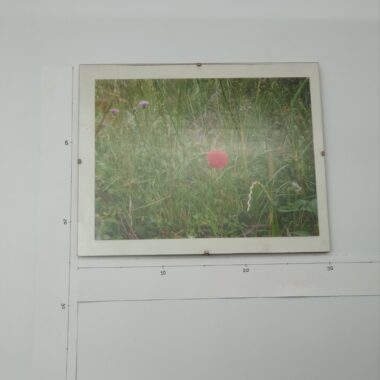 Quadro fotografia sem moldura