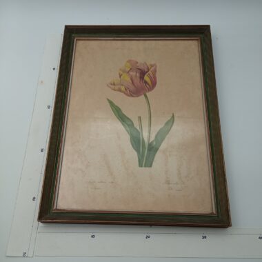 Quadro flores