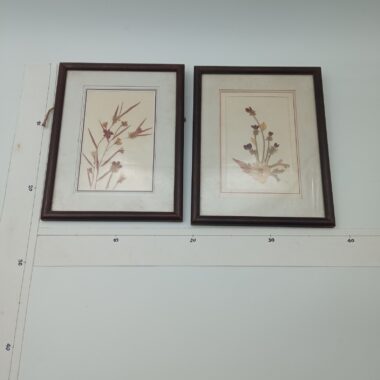Quadros flores