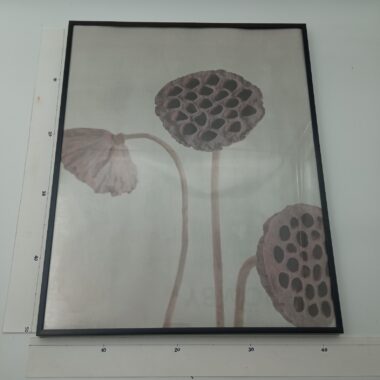 Quadros flores